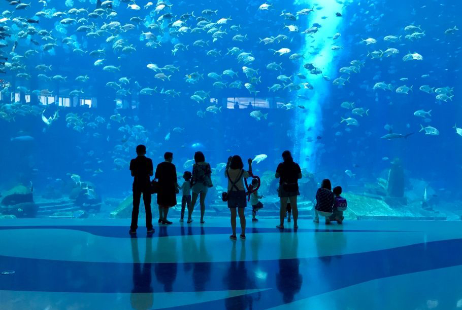 4-商業(yè)體mall 水族館.jpg